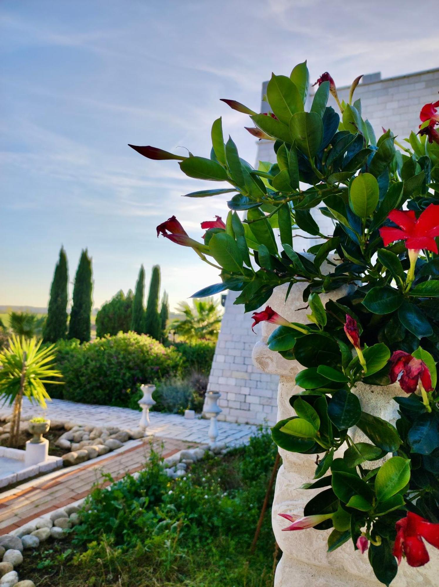 Albadido Bed & Breakfast Campomarino  Dış mekan fotoğraf