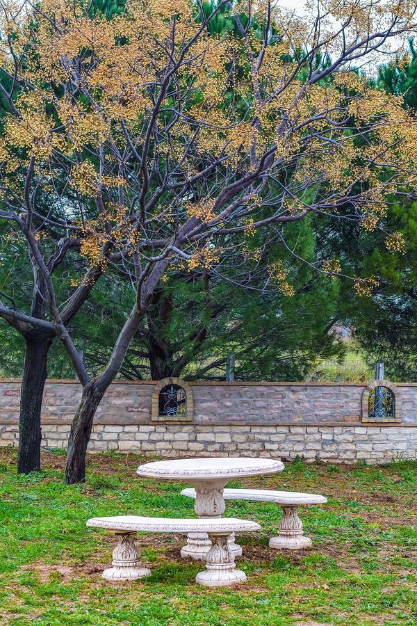 Albadido Bed & Breakfast Campomarino  Dış mekan fotoğraf