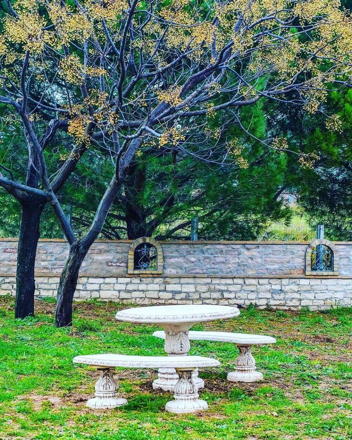 Albadido Bed & Breakfast Campomarino  Dış mekan fotoğraf